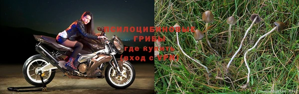 кокаин премиум Беломорск