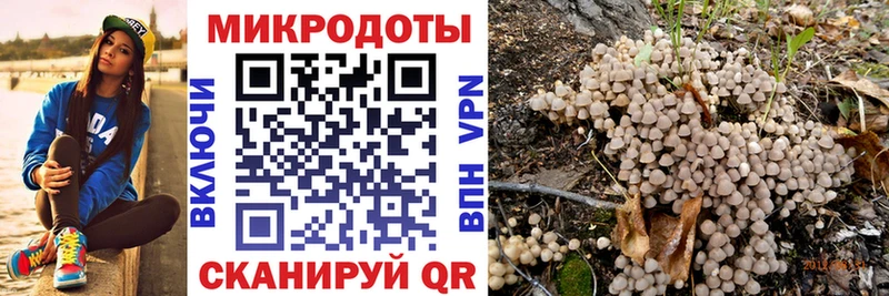 omg ссылка  Сухой Лог  Псилоцибиновые грибы Psilocybe 